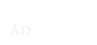 Logo Admemora