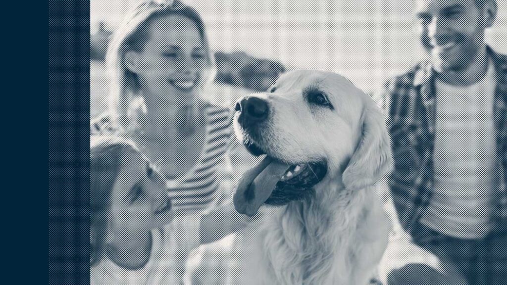 addio fido cosa fare quando muore un cane